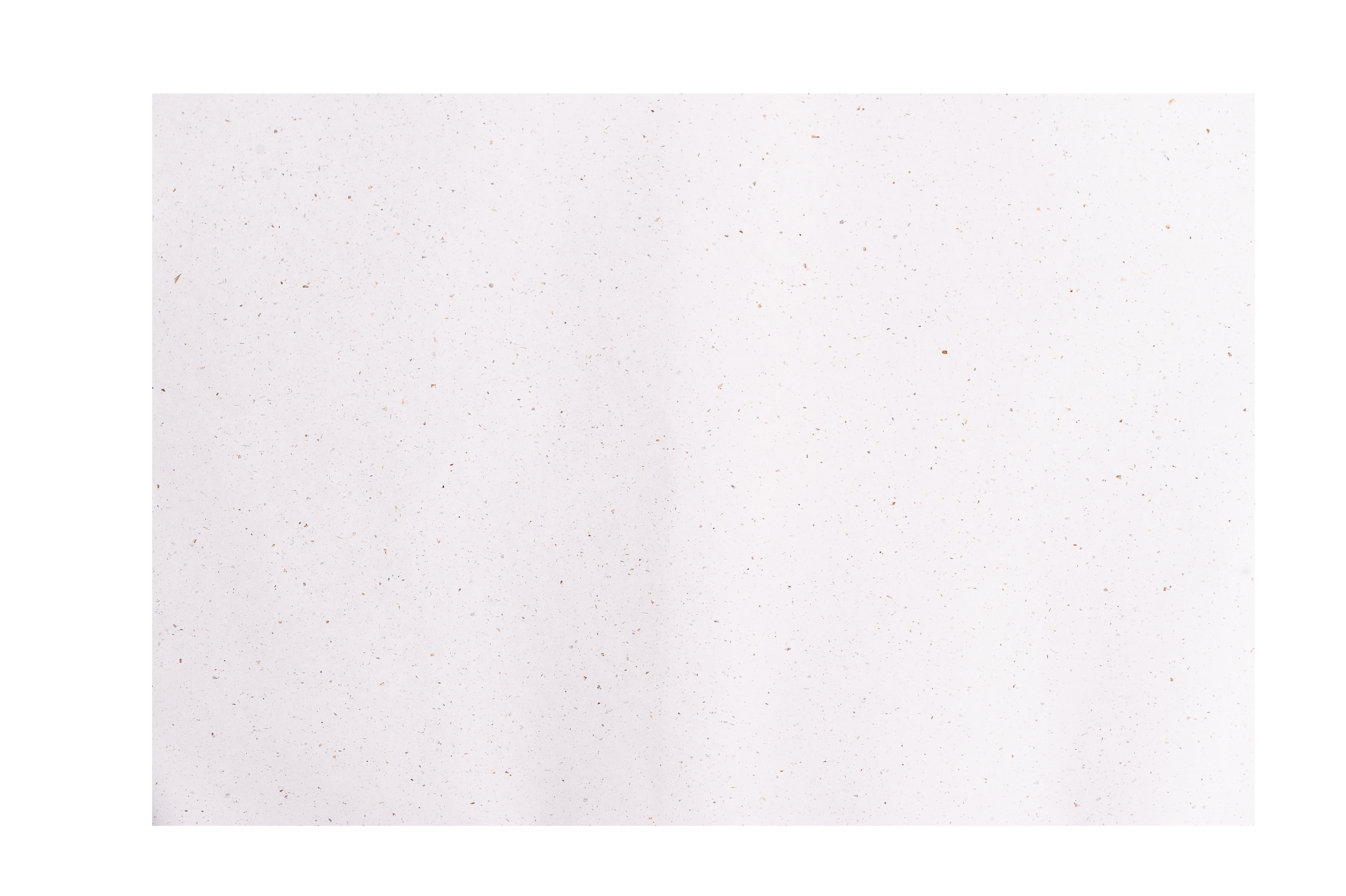 Gavepapir — Plain Spent Barley
