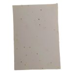 Seed Paper - comprising tomato Seeds - ingenious - pack of 24 - A4