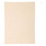 Seed Paper - comprising mustard Seeds - ingenious - pack of 24 - A4