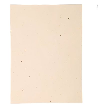 Seed Paper - comprising mustard Seeds - ingenious - pack of 24 - A4