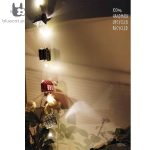 Multicolored String lights - magical little houses created with dark printed handmade paper